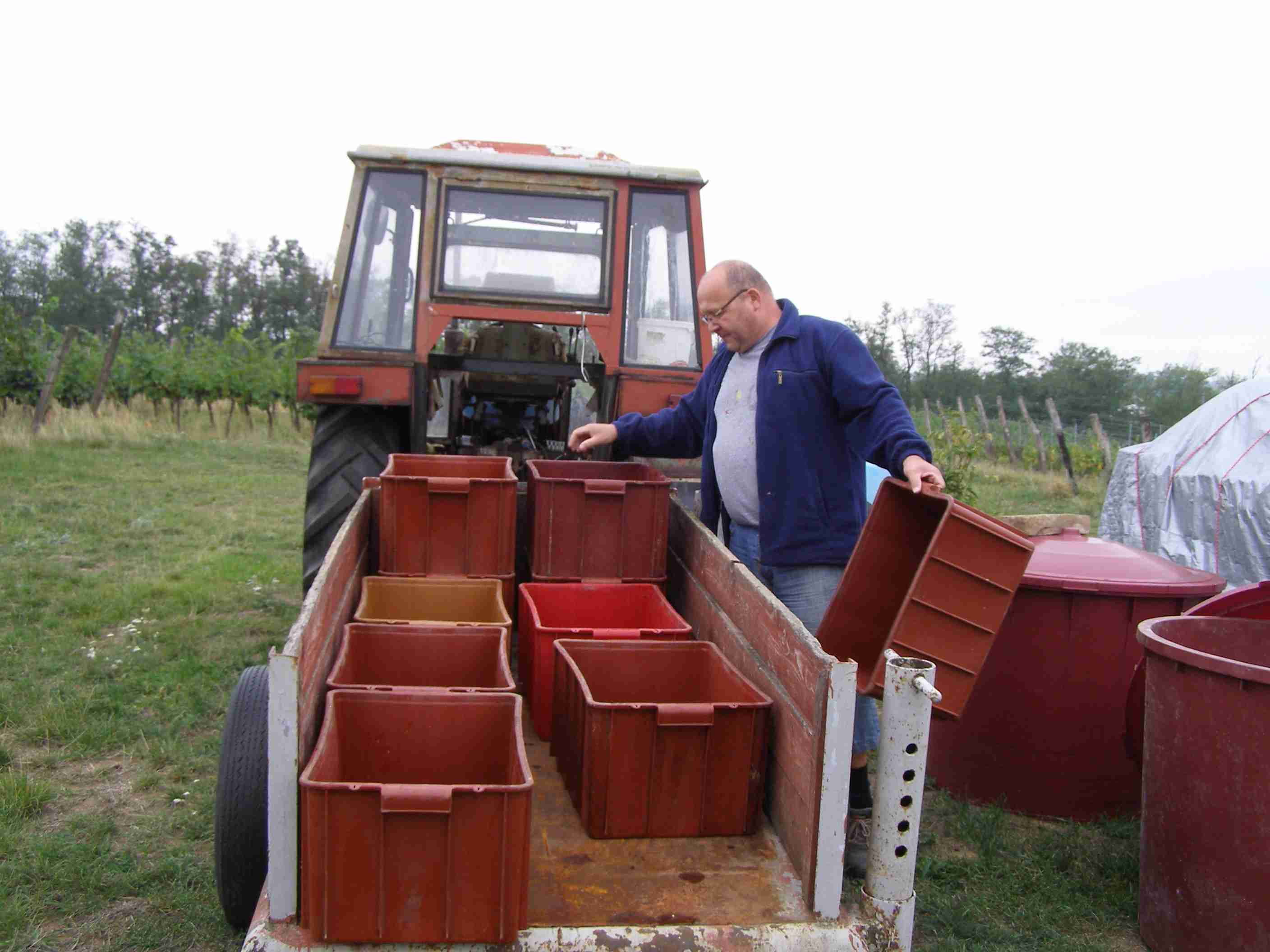 vinobraní 2017