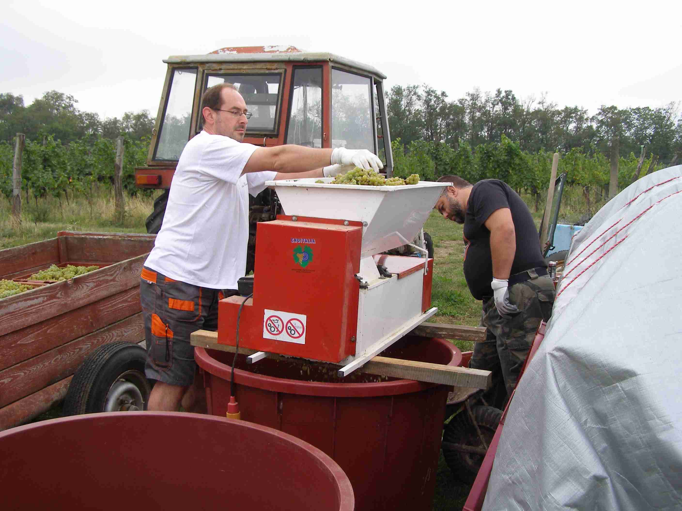 vinobraní 2017