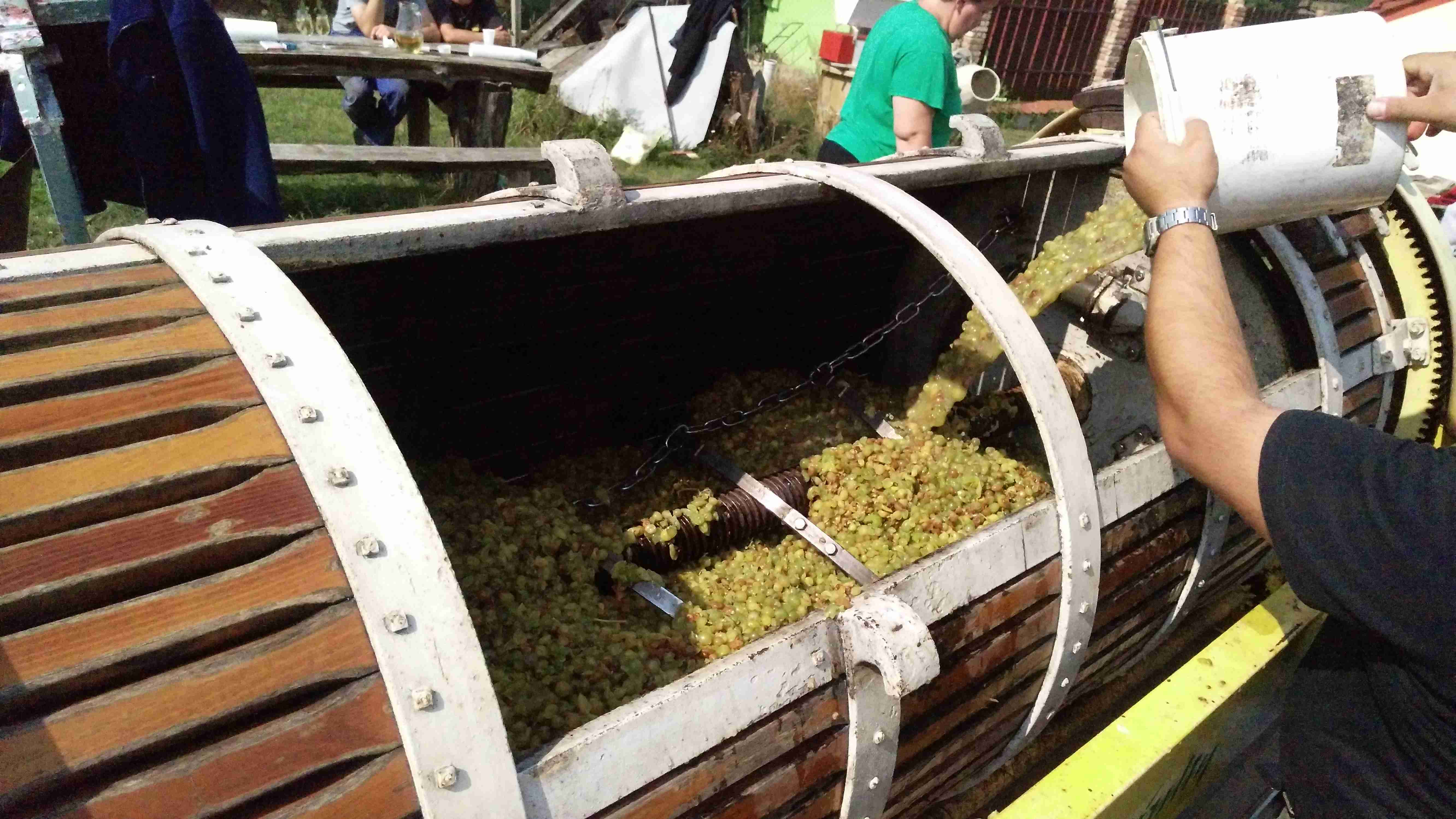 vinobraní 2017
