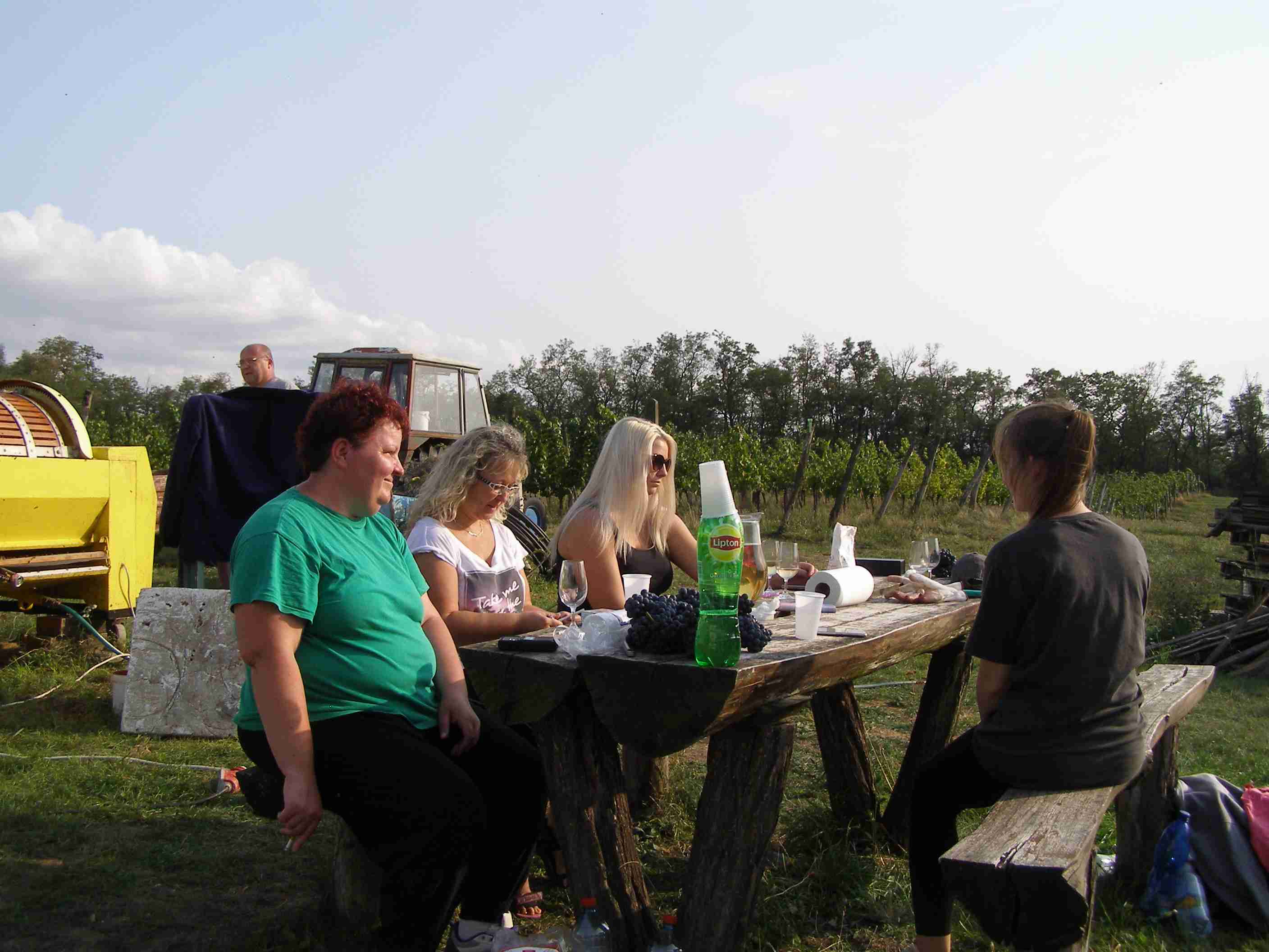 vinobraní 2017