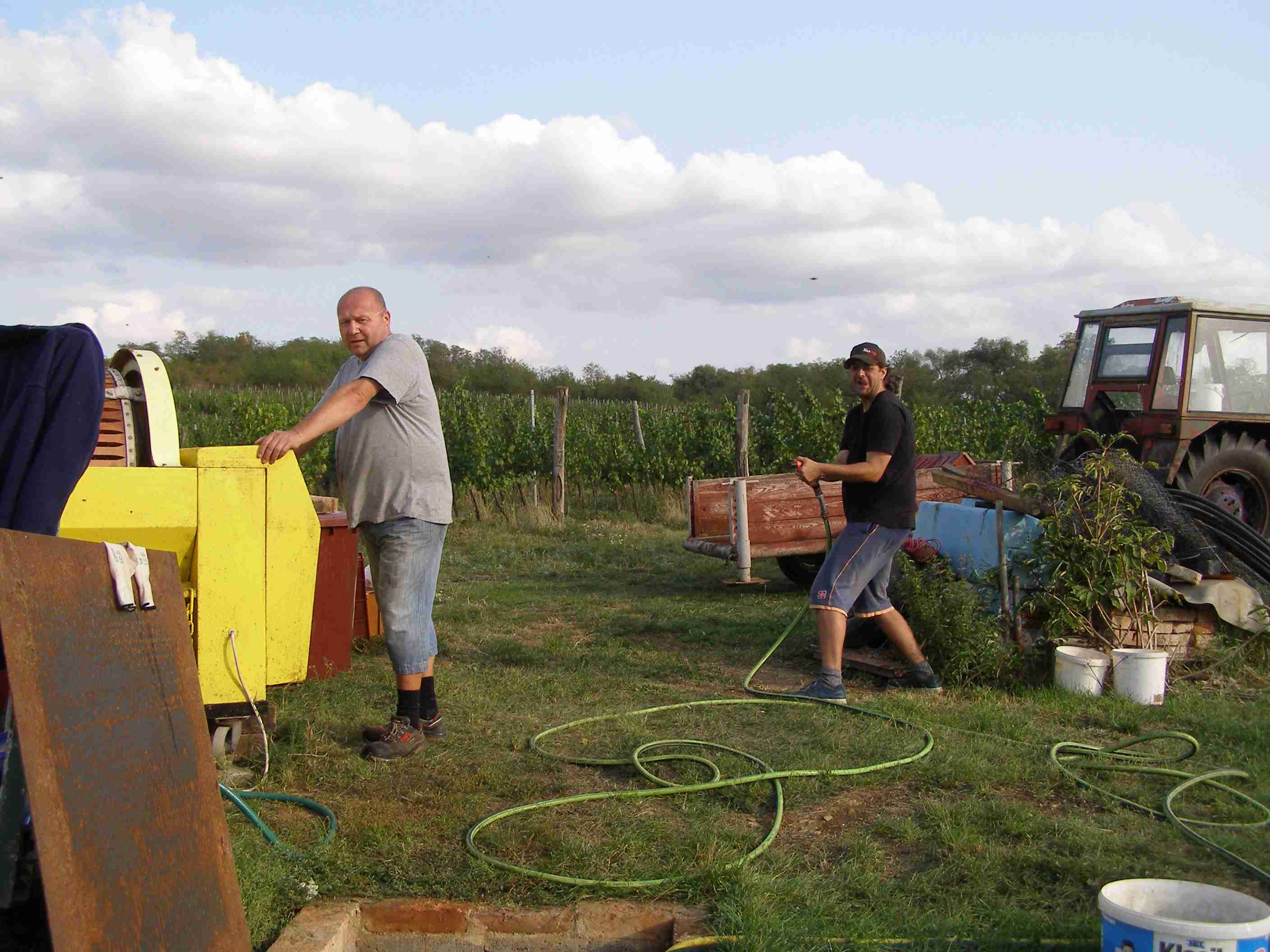 vinobraní 2017