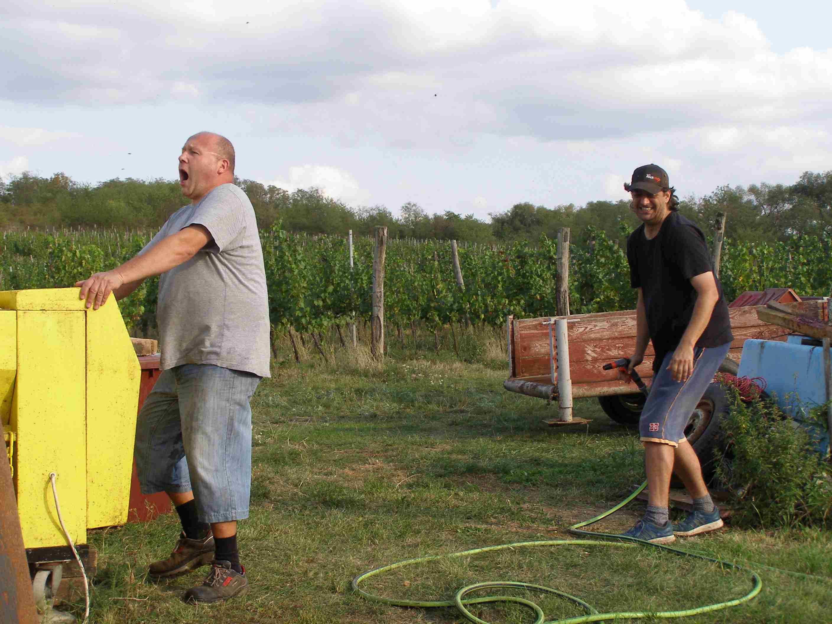 vinobraní 2017